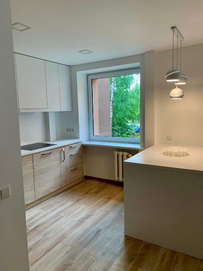 Alytus Apartament Luaran gambar